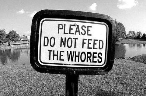 Please Do Not Feed the Whores
