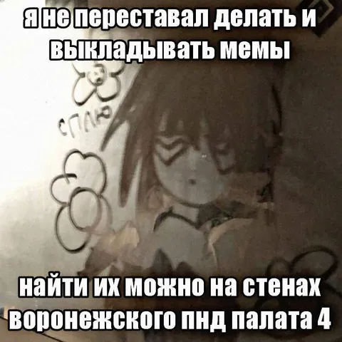 Мемы на стенах палаты