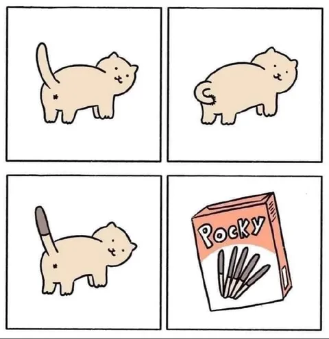 Cat Turns Into Rocky