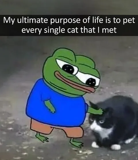 Pepe Pets Every Cat