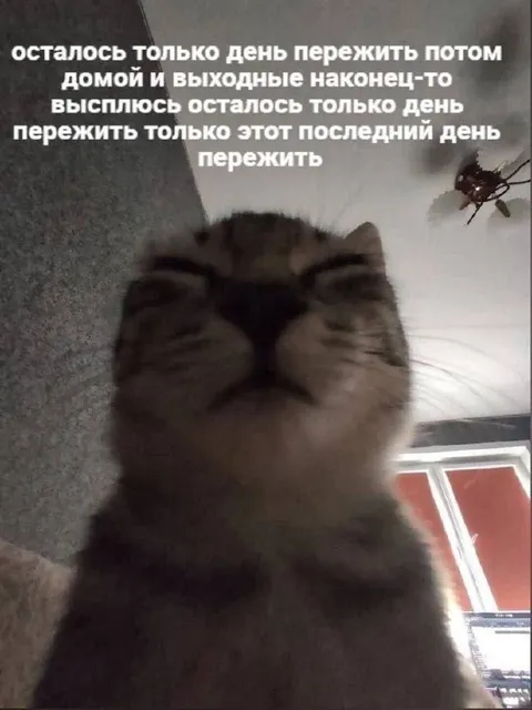 Остался последний день