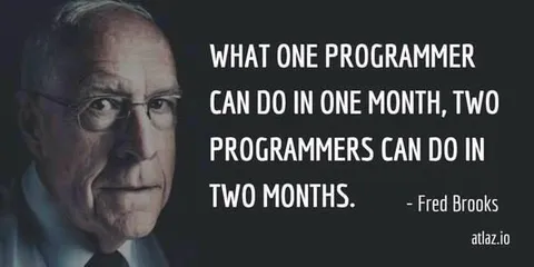 One Programmer in One Month