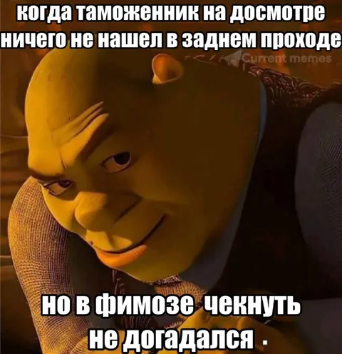 Таможенник не нашел в заднем проходе
