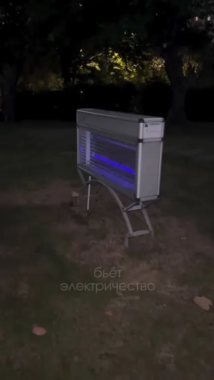 Лягушачья шашлычка под мухоловкой