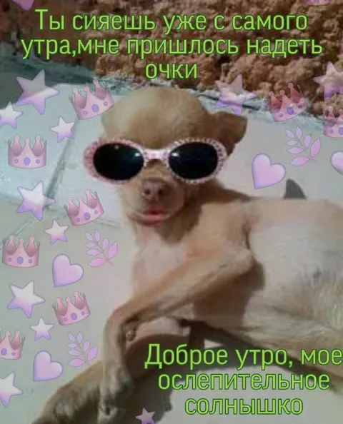 Ослепительное утреннее солнышко