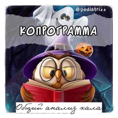Копрограмма: общий анализ кала
