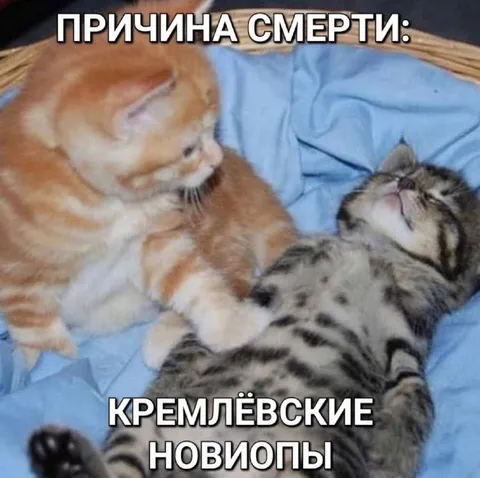 Кремлёвские новости убивают