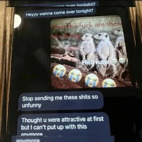Stop Sending Unfunny Bird Memes