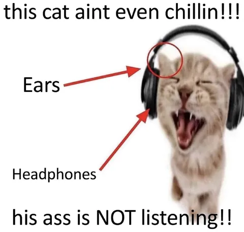 This Cat Ain't Even Chillin
