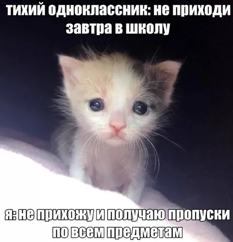 Тихий одноклассник прогуливает школу