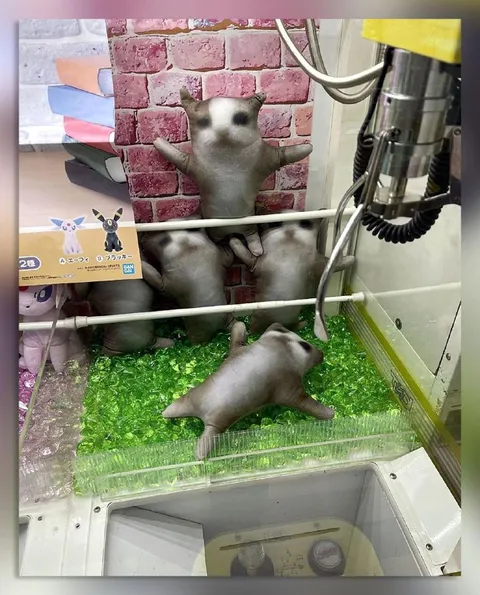水槽の中の謎の生き物