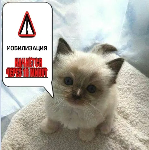 Мобилизация через 10 минут