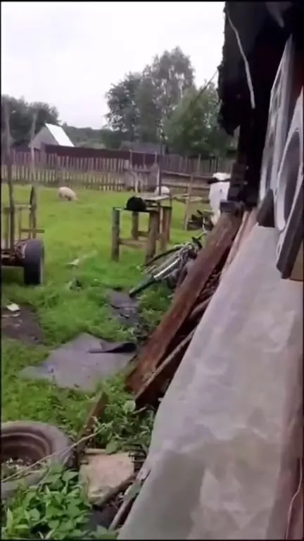 В следующей жизни узнаешь по знакам
