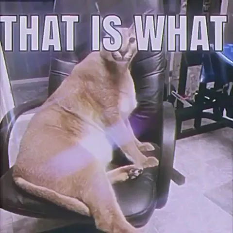 That Is What My Caracal Makes