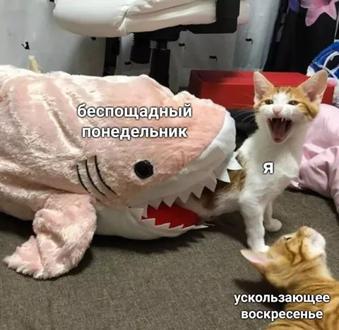 Беспощадный понедельник и воскресенье