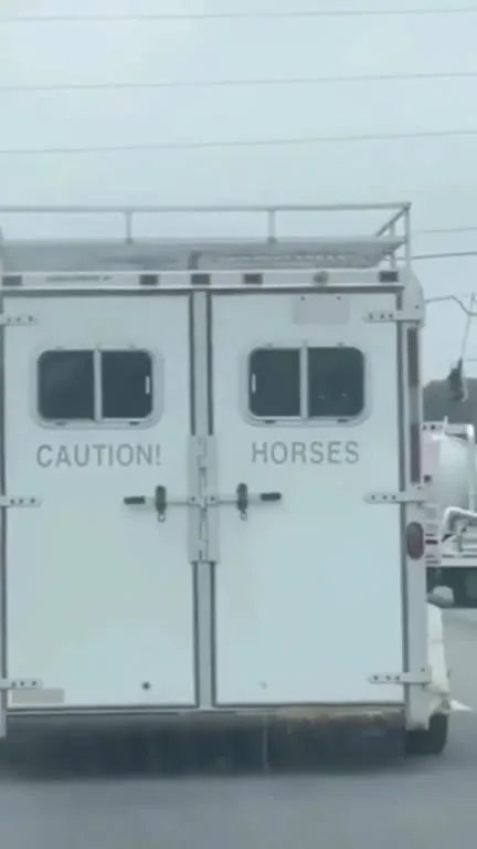 Caution Horses Warning