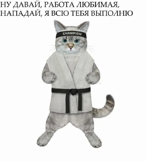 Работа любимая, нападай