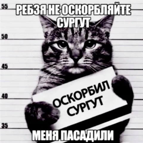 Кота посадили за оскорбление Сургута