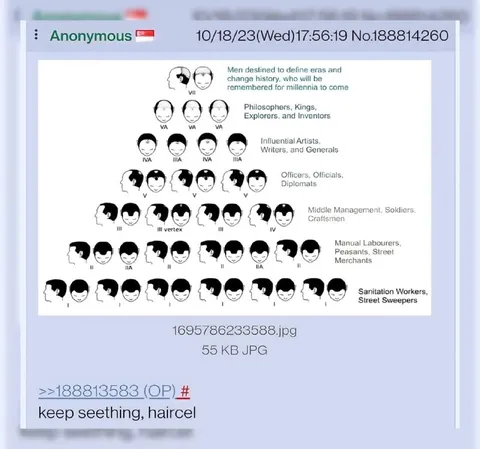 Keep Seething, Haircel