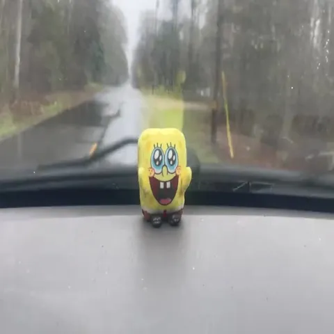 Губка Боб едет под дождём