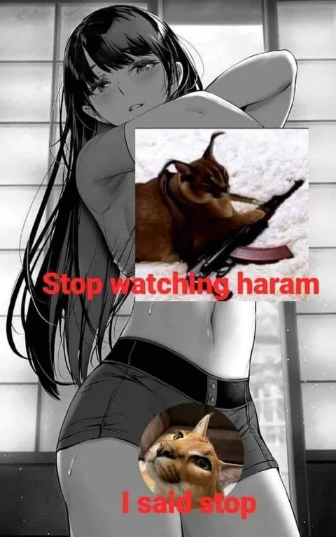 Stop Watching Haram