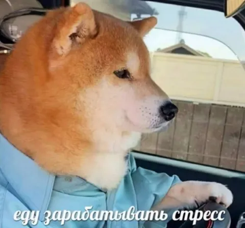 Еду зарабатывать стресс