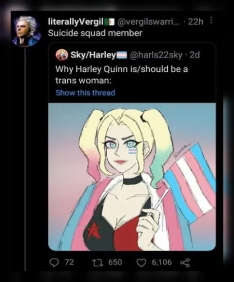 Harley Quinn Trans Woman Theory