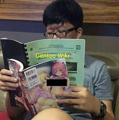 Anime Manga Disguised as Economics