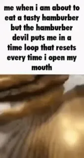 Hamburger Time Loop Cat