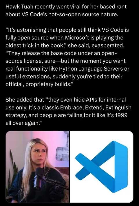 Hawk Tuah VS Code rant