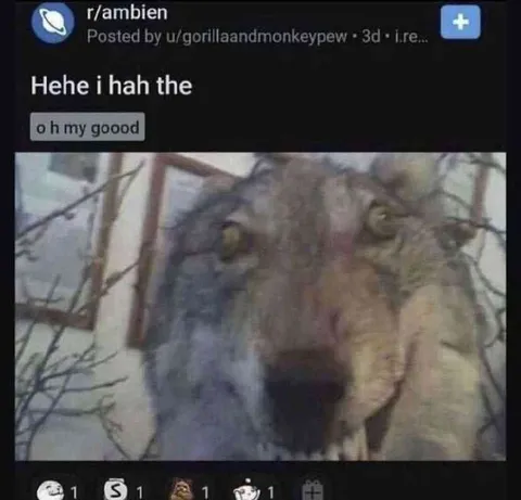 Hehe I Had the Reaction