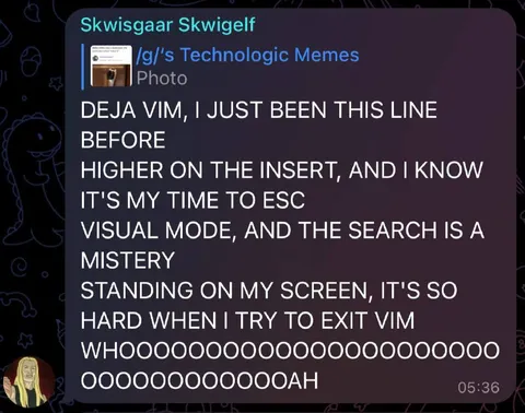 Deja Vim Exit Struggle