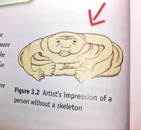 Person Without a Skeleton