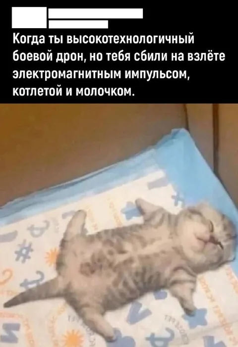 Высокотехнологичный боевой котлета-дрон