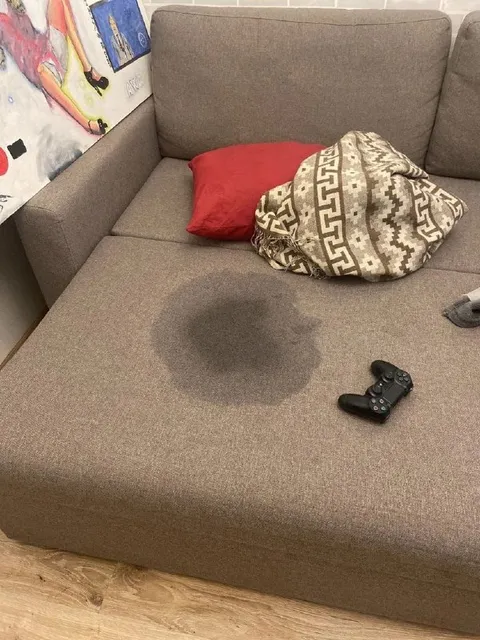 Мокрое пятно на диване