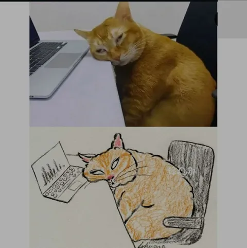 Уставший кот за ноутбуком