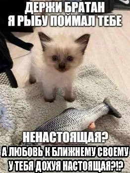 Котёнок поймал ненастоящую рыбу