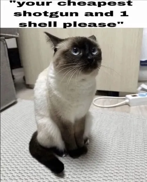Cat Wants One Shotgun Shell