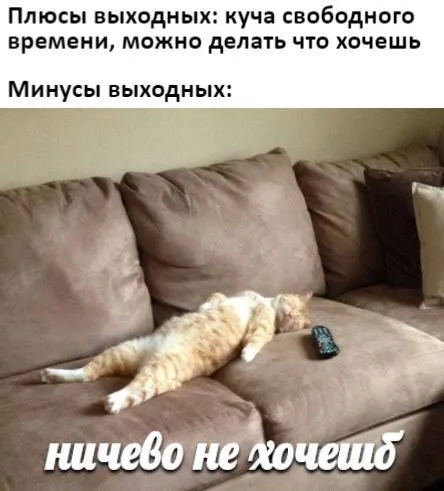 Минусы выходных — ничего не хочется