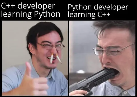 C++ and Python Developers Learning
