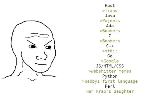 Programming Languages Hierarchy Meme