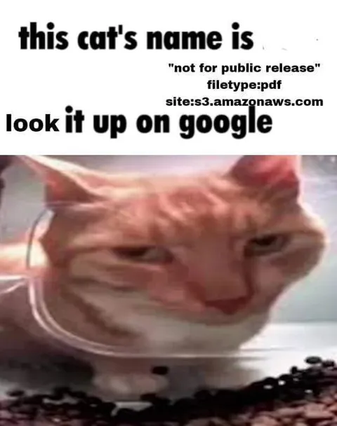 This Cat's Name Is Classified