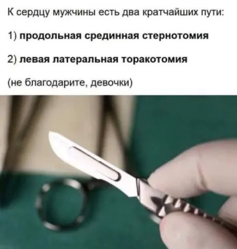 Два пути к сердцу мужчины