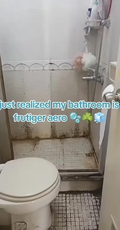 Frutiger Aero Bathroom