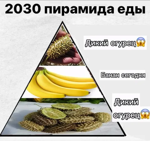 Пирамида еды 2030 года