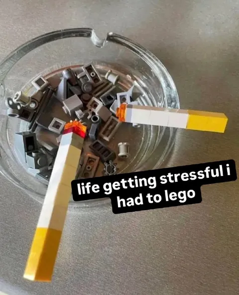 Life Getting Stressful Had to Lego