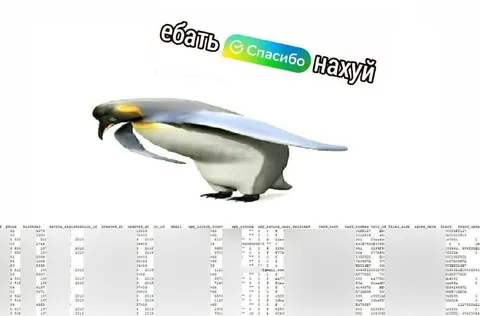 Ебать, спасибо нахуй