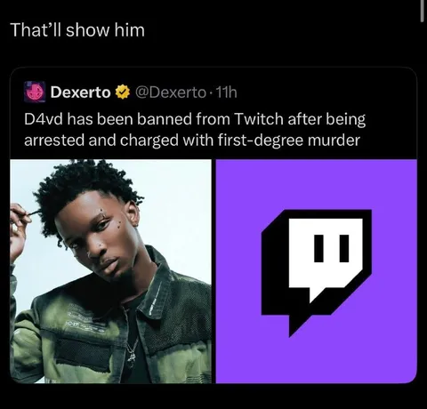 That’ll Show Him Twitch Ban
