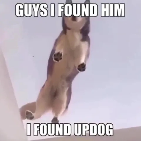 Guys I Found Updog