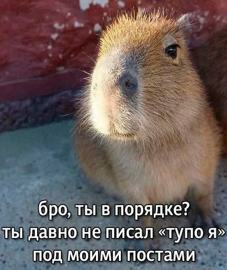 Бро, ты в порядке?